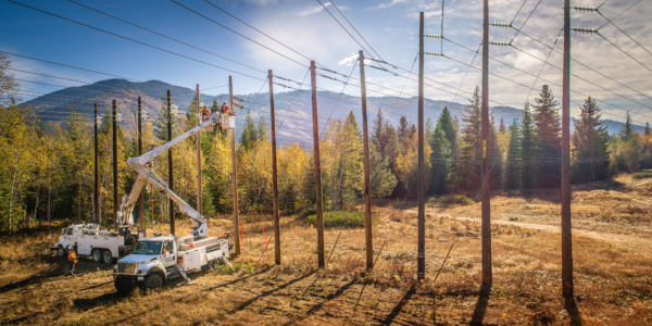 Martech Electrical Systems Ltd photo 6